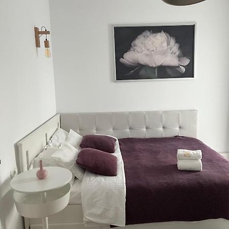 Alma Apartments Suceava Exteriör bild