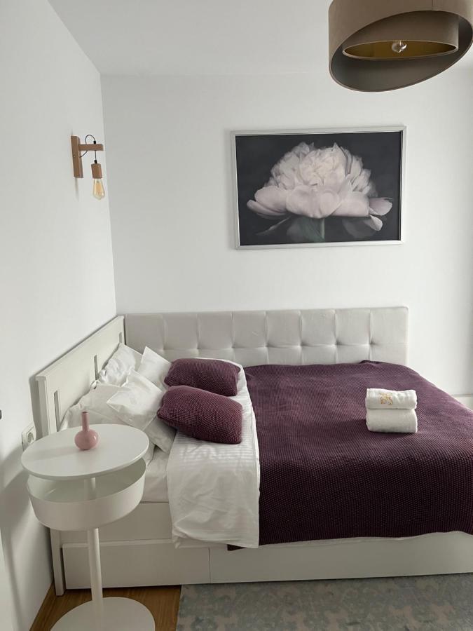 Alma Apartments Suceava Exteriör bild