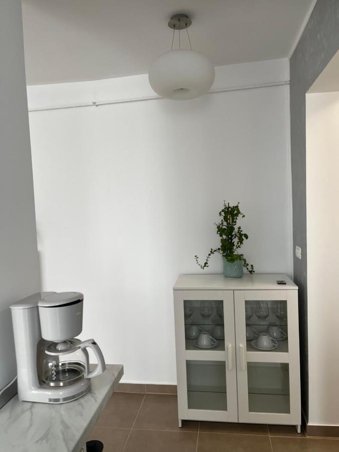 Alma Apartments Suceava Exteriör bild